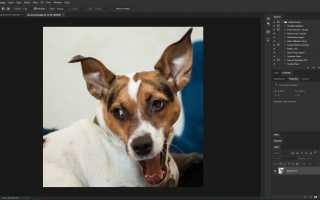 Как создать эффект мягкого затухания виньетки в Adobe Photoshop CC