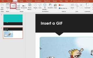 Как положить GIF в PowerPoint
