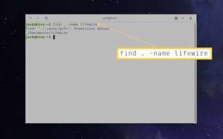 Как использовать команду поиска файла в Linux