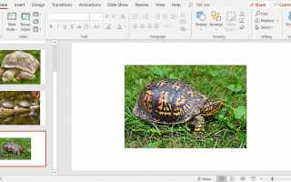 Как создать макрос PowerPoint для изменения размера фотографий