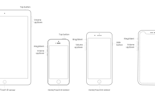 Как легко исправить iPhone белый экран смерти
