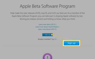 Как зарегистрироваться в публичной бета-программе для Apple iOS
