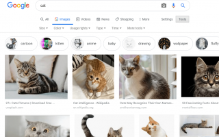 Как использовать расширенный поиск картинок Google