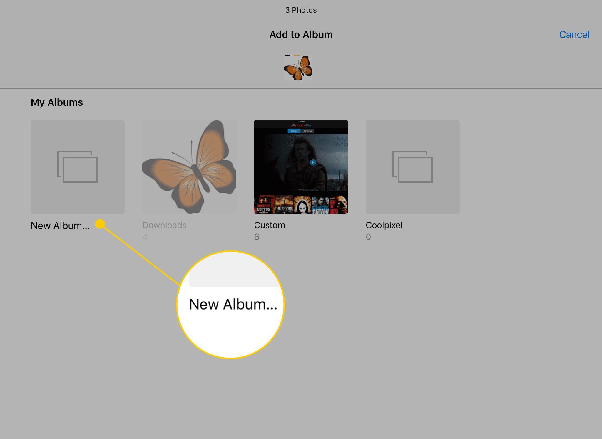 Экран «Добавить в альбом» в приложении «Фотографии на iPad» с выделенной кнопкой «Новый альбом»