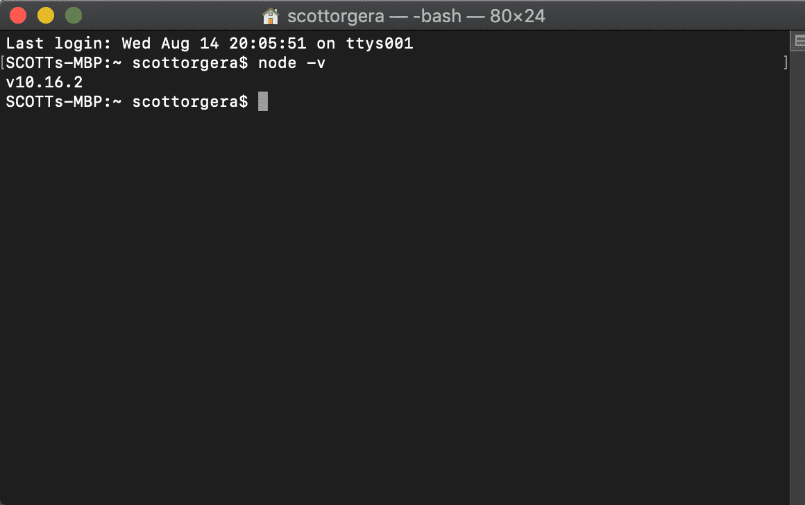 снимок экрана команды -v узла в MacOS Terminal