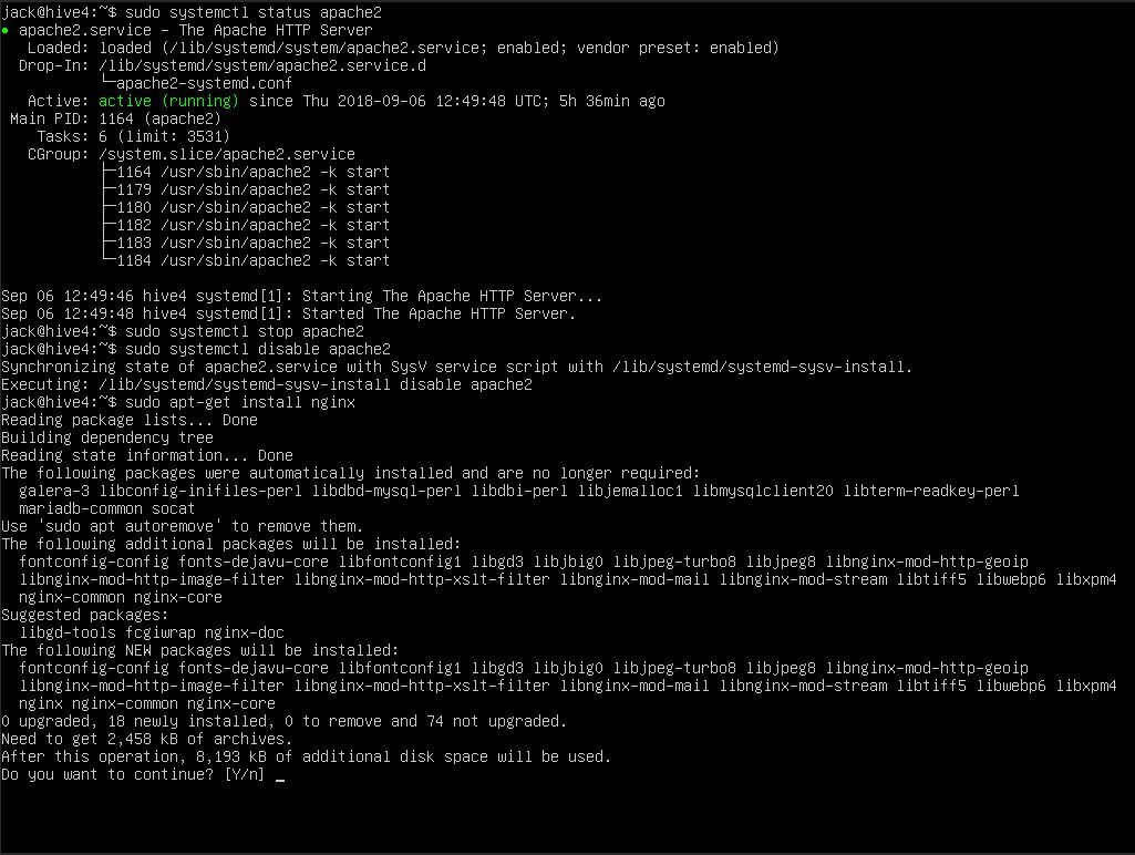 Снимок экрана с командами при установке веб-сервера NGINX.