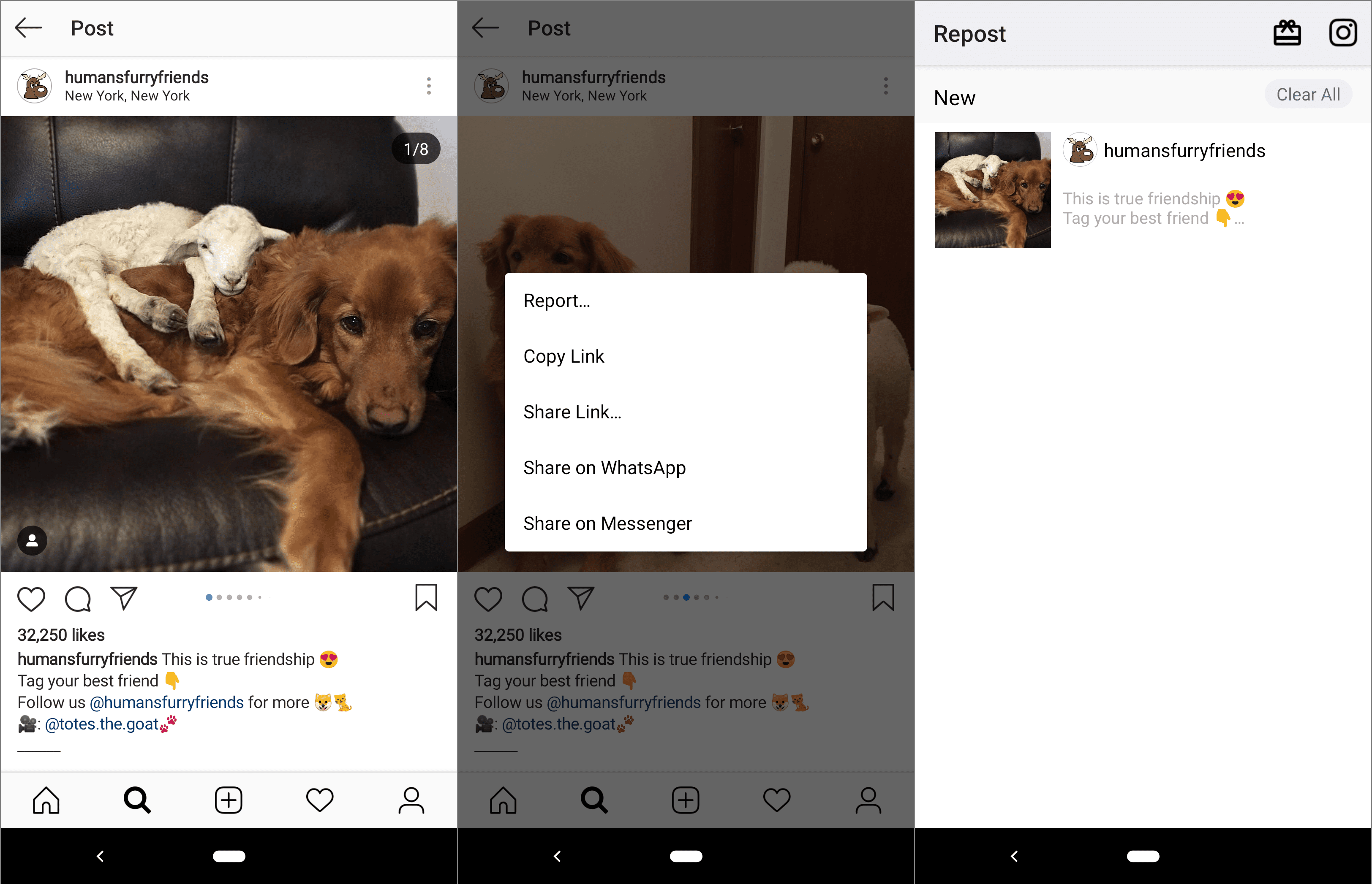 Снимки экрана, показывающие, как скопировать и разместить изображение в Instagram