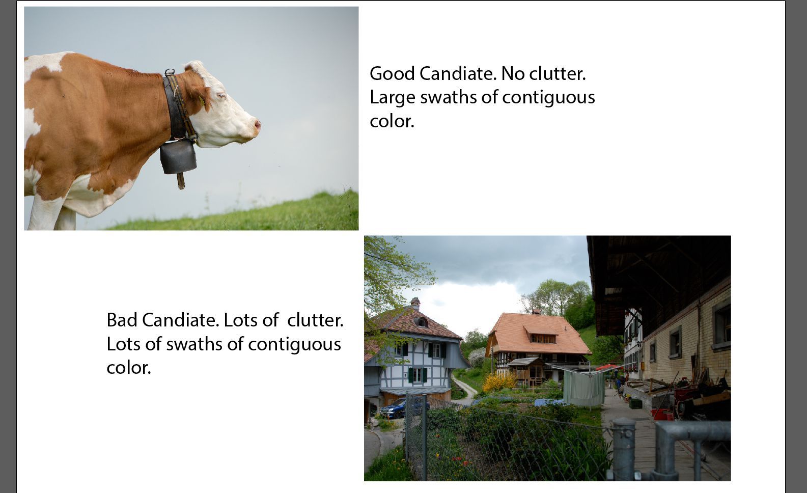 Изображение показывает корову и другое изображение деревни. Деревенский образ имеет беспорядок и не является хорошим кандидатом.