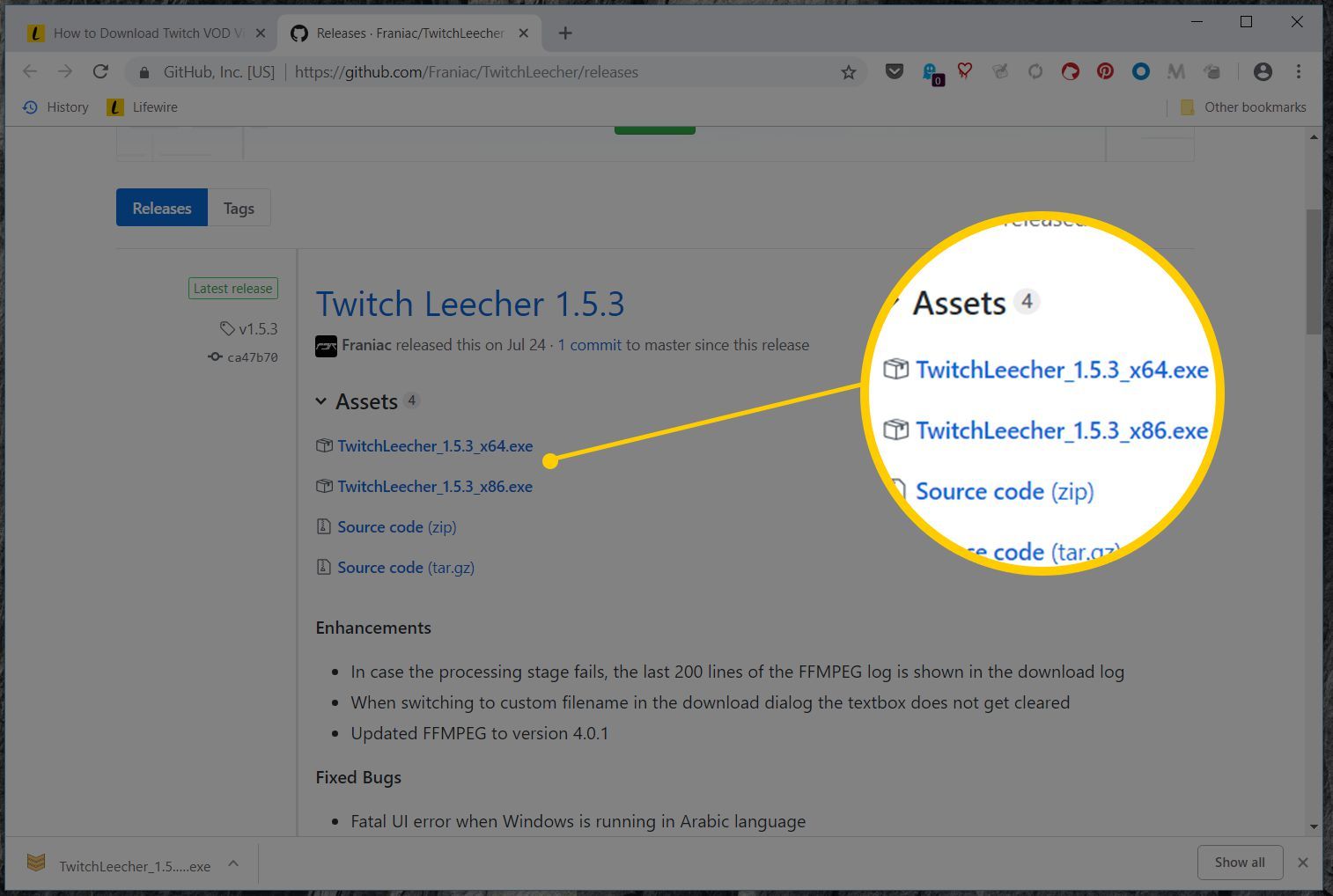 Снимок экрана вариантов загрузки для Twitch Leecher 1.5.3