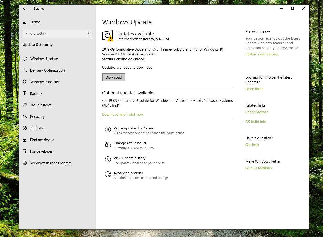 Скриншот обновлений, доступных в Windows 10