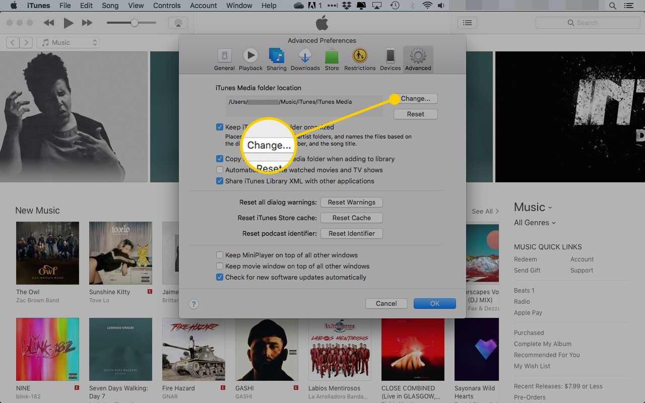 Дополнительные настройки iTunes с выделенной кнопкой «Изменить»