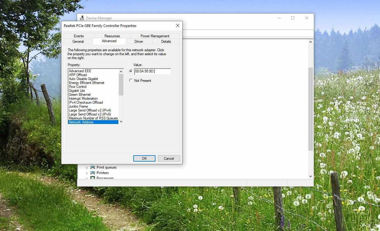 Снимок экрана MAC-адреса в поле Значение