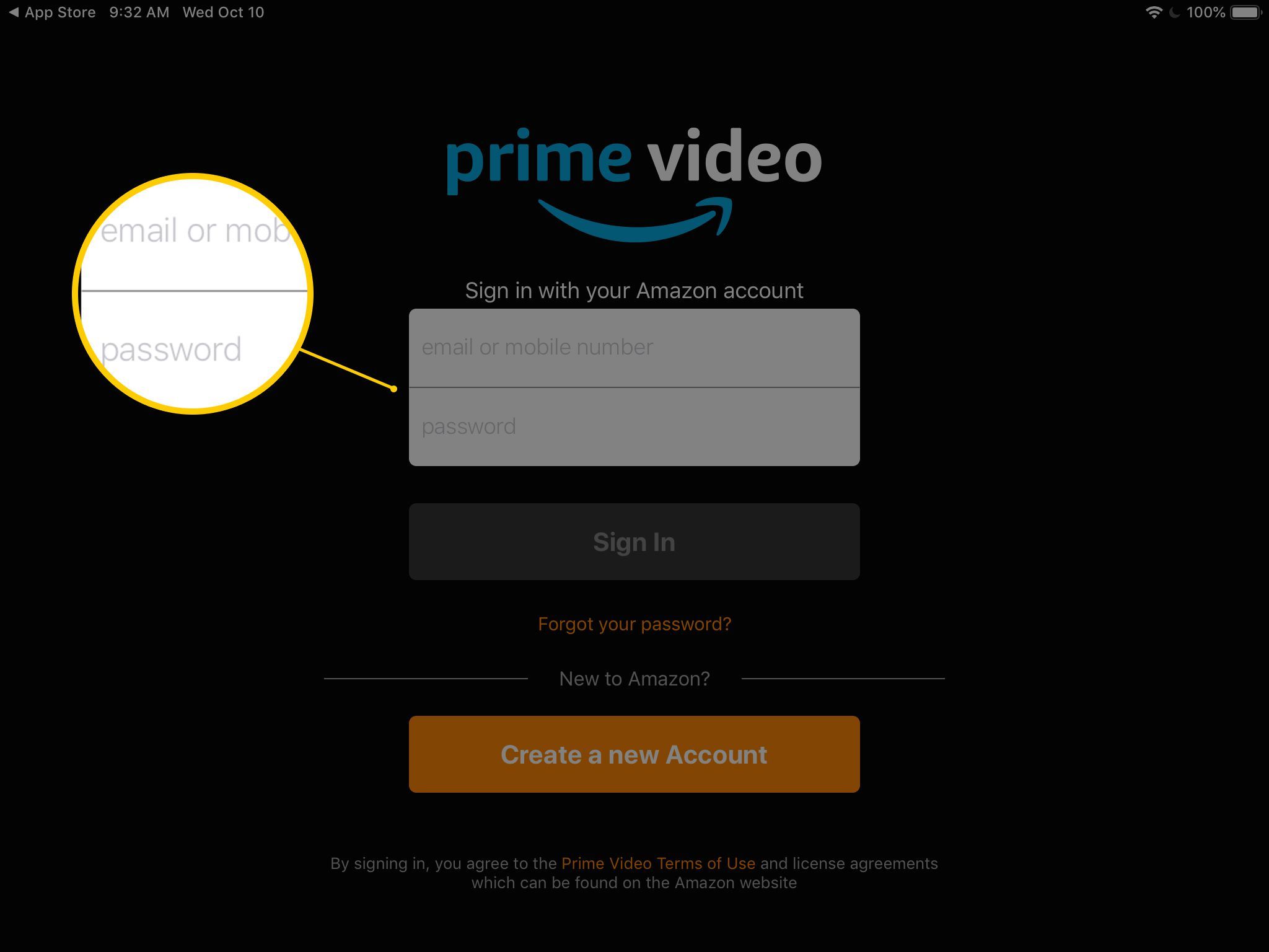 Снимок экрана формы для входа в Prime Video на iPad, включая поля электронной почты и пароль