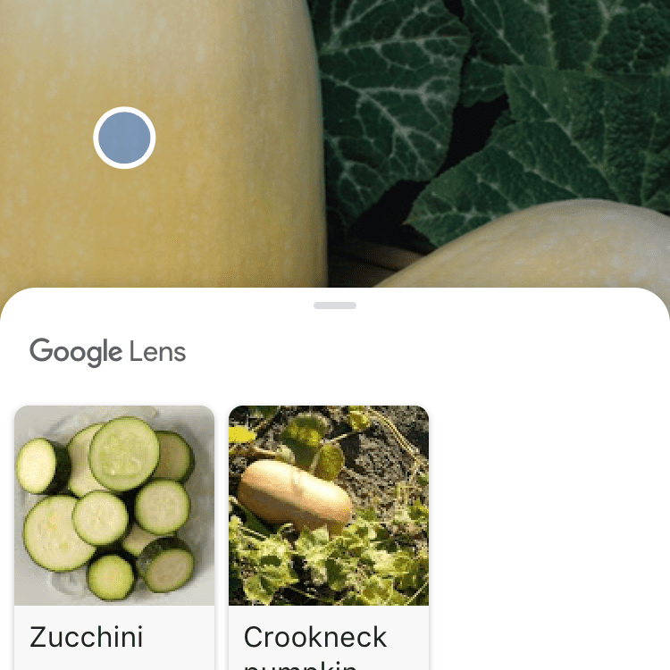 Снимок экрана, на котором показано больше деталей из Google Lens на фотографии спагетти-сквош