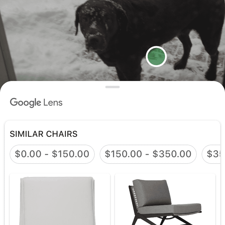 Скриншот собаки в снегу, с Google Lens, описывающим белый стул