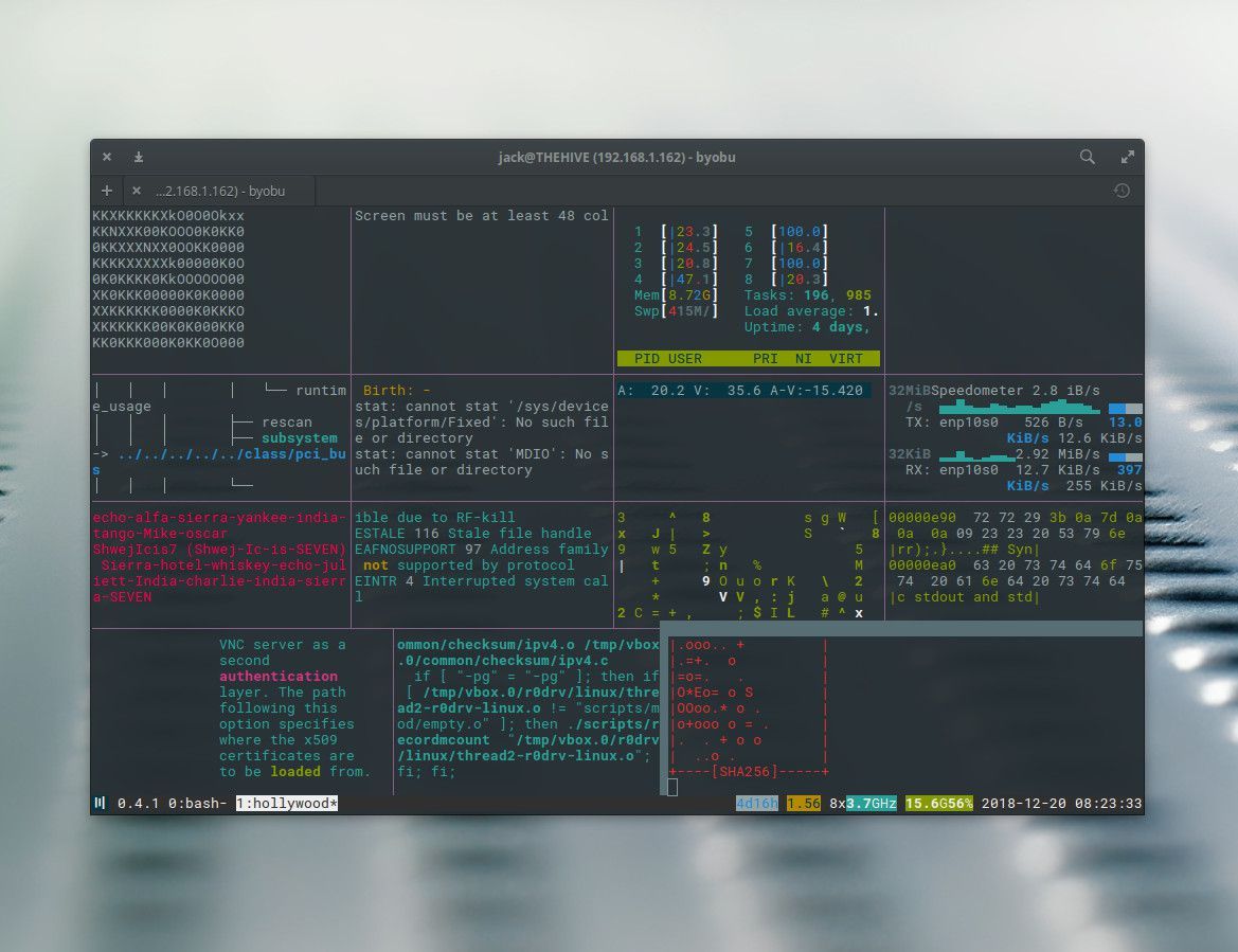 Снимок экрана сложного терминала Linux.