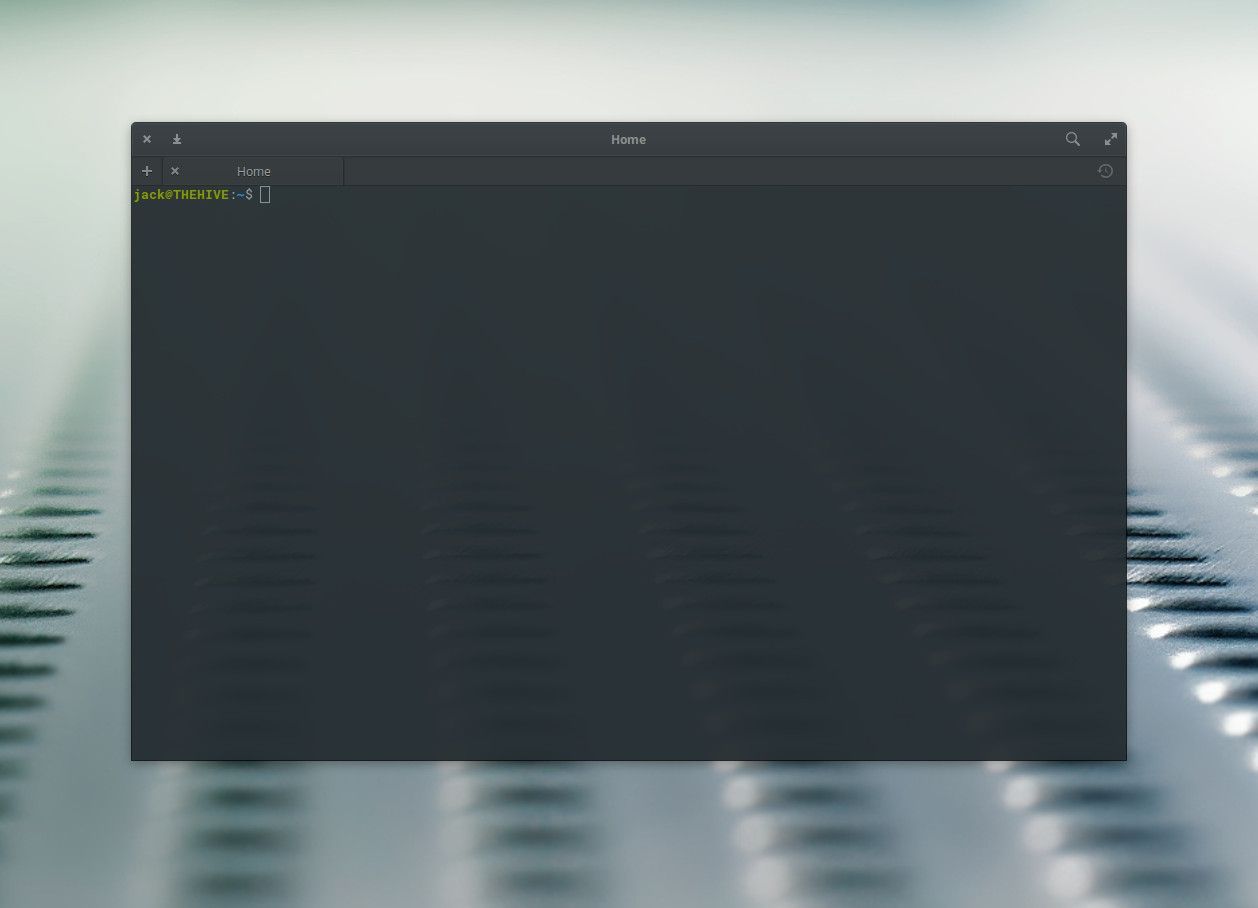 Снимок экрана эмулятора терминала Linux.