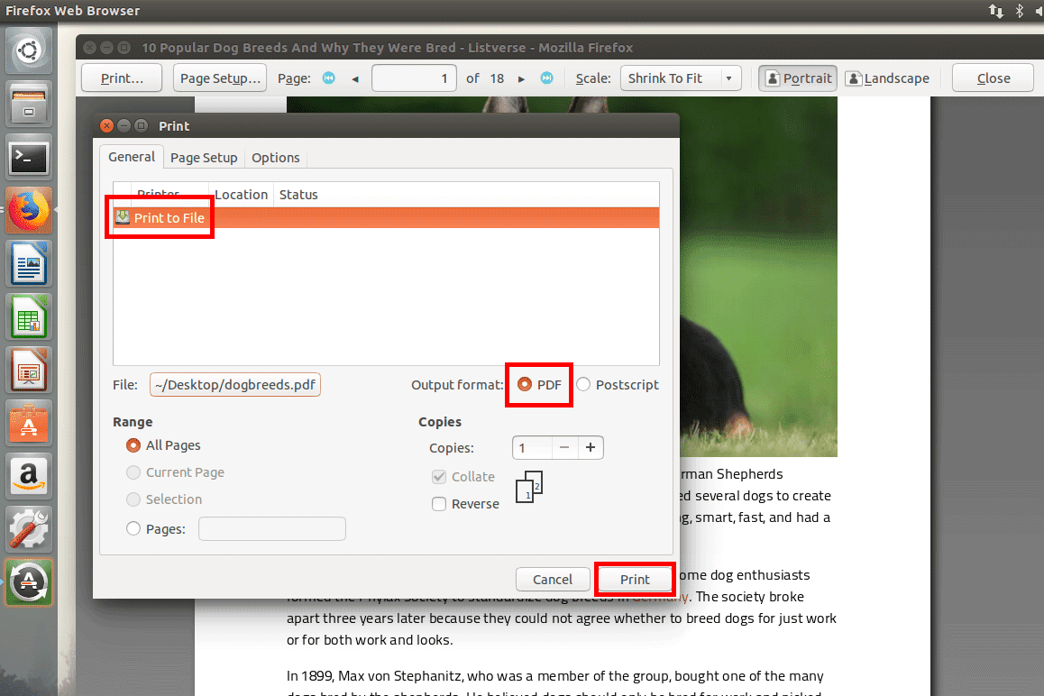 Снимок экрана, показывающий, как использовать Firefox для печати в PDF в Ubuntu