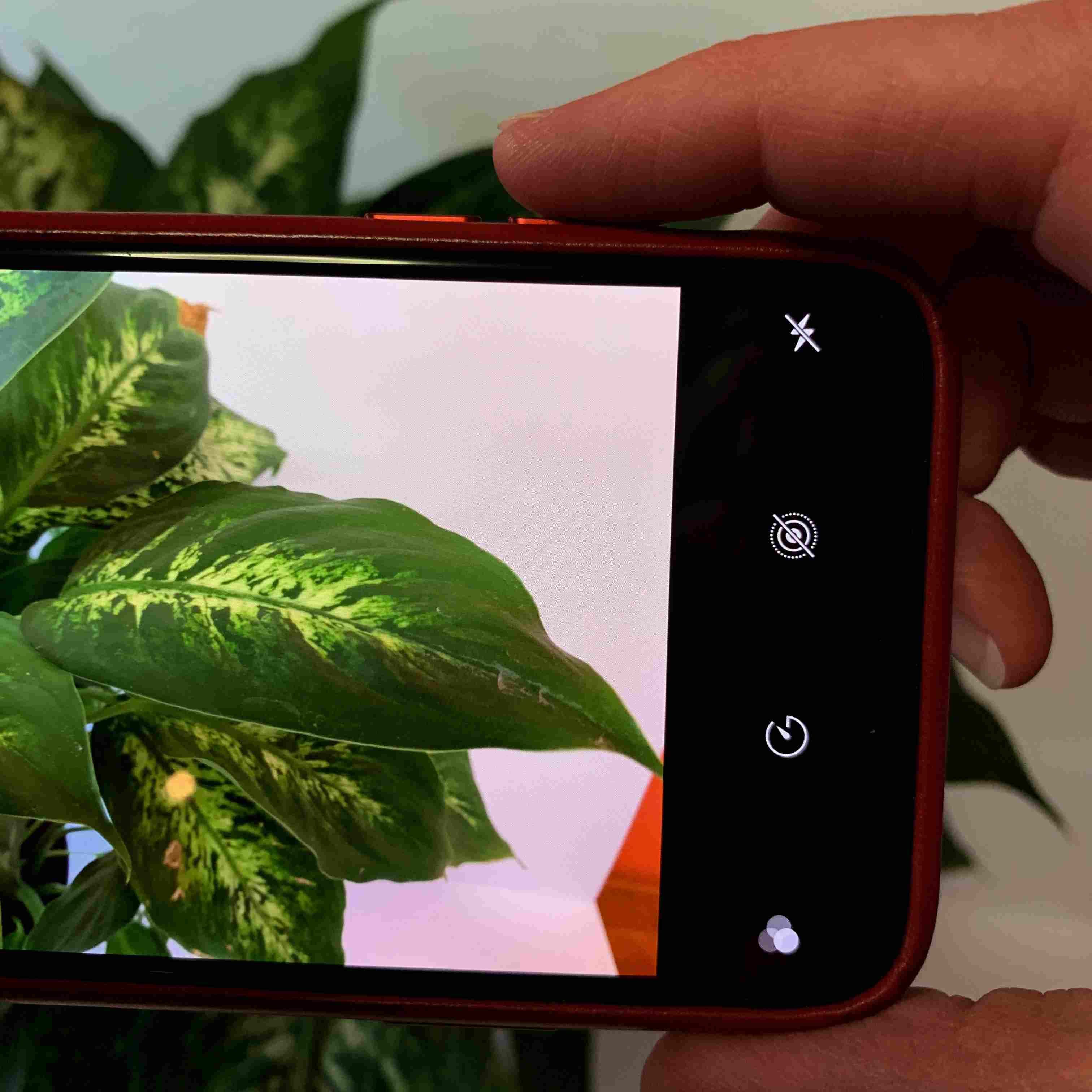 Фотография показывает нажатие кнопки увеличения громкости на iPhone, чтобы сделать снимок