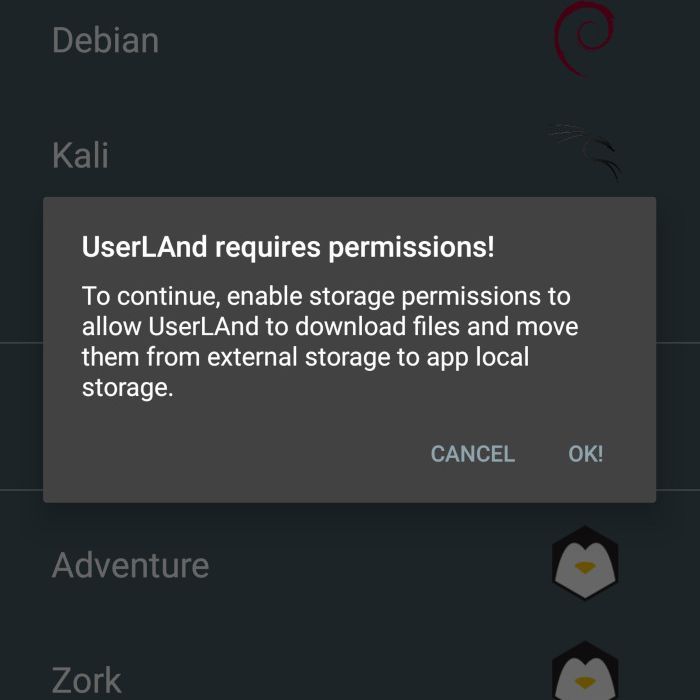 Снимок экрана с предоставлением UserL и необходимыми разрешениями для запуска.