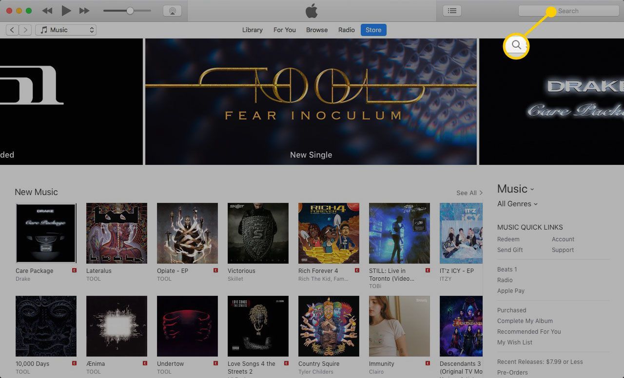 Музыкальный магазин iTunes с выделенным значком окна поиска