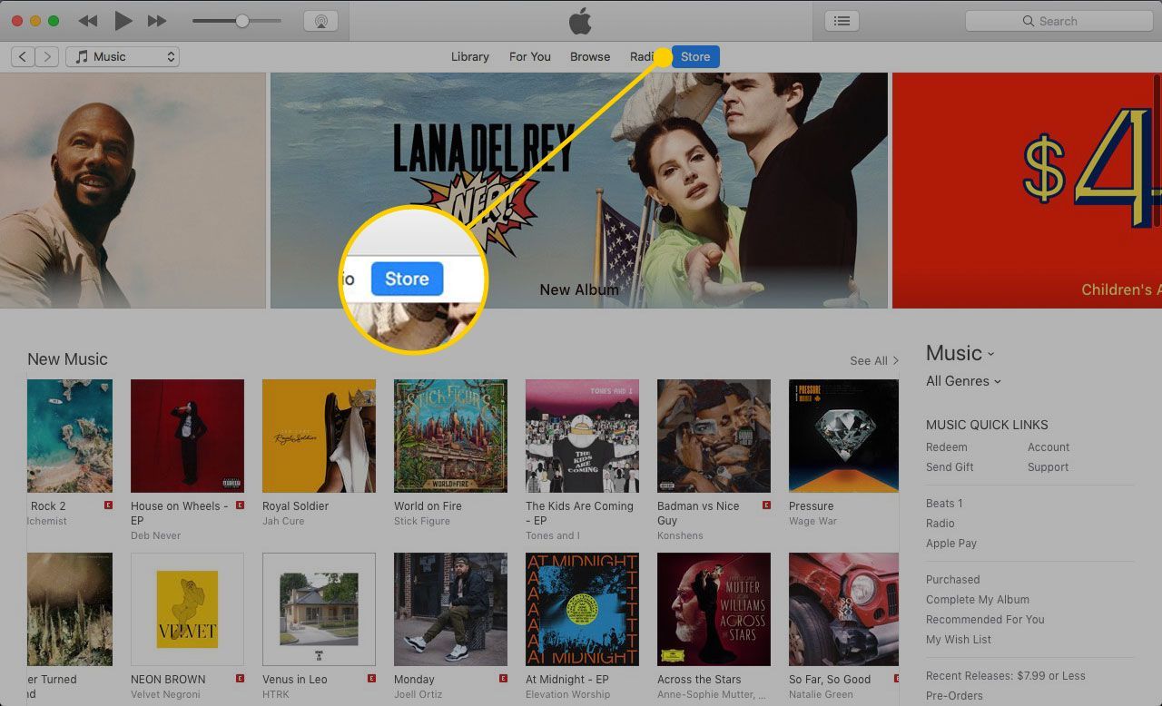iTunes на Mac с выделенным заголовком Store