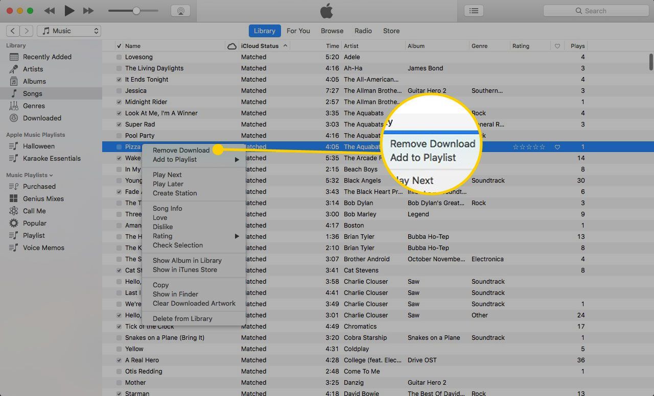 Меню песни iTunes с выделенной опцией «Удалить загрузку»