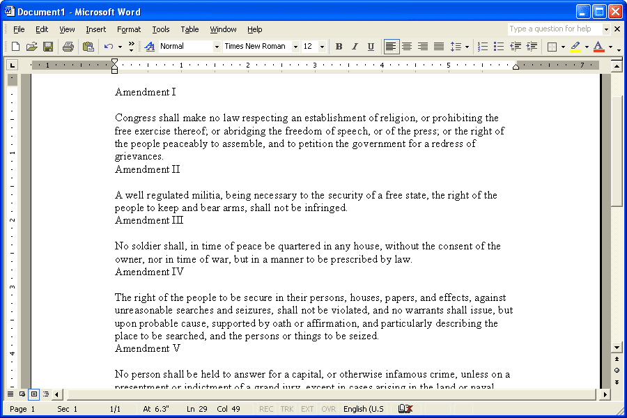 Скриншот документа в Microsoft Word 2002
