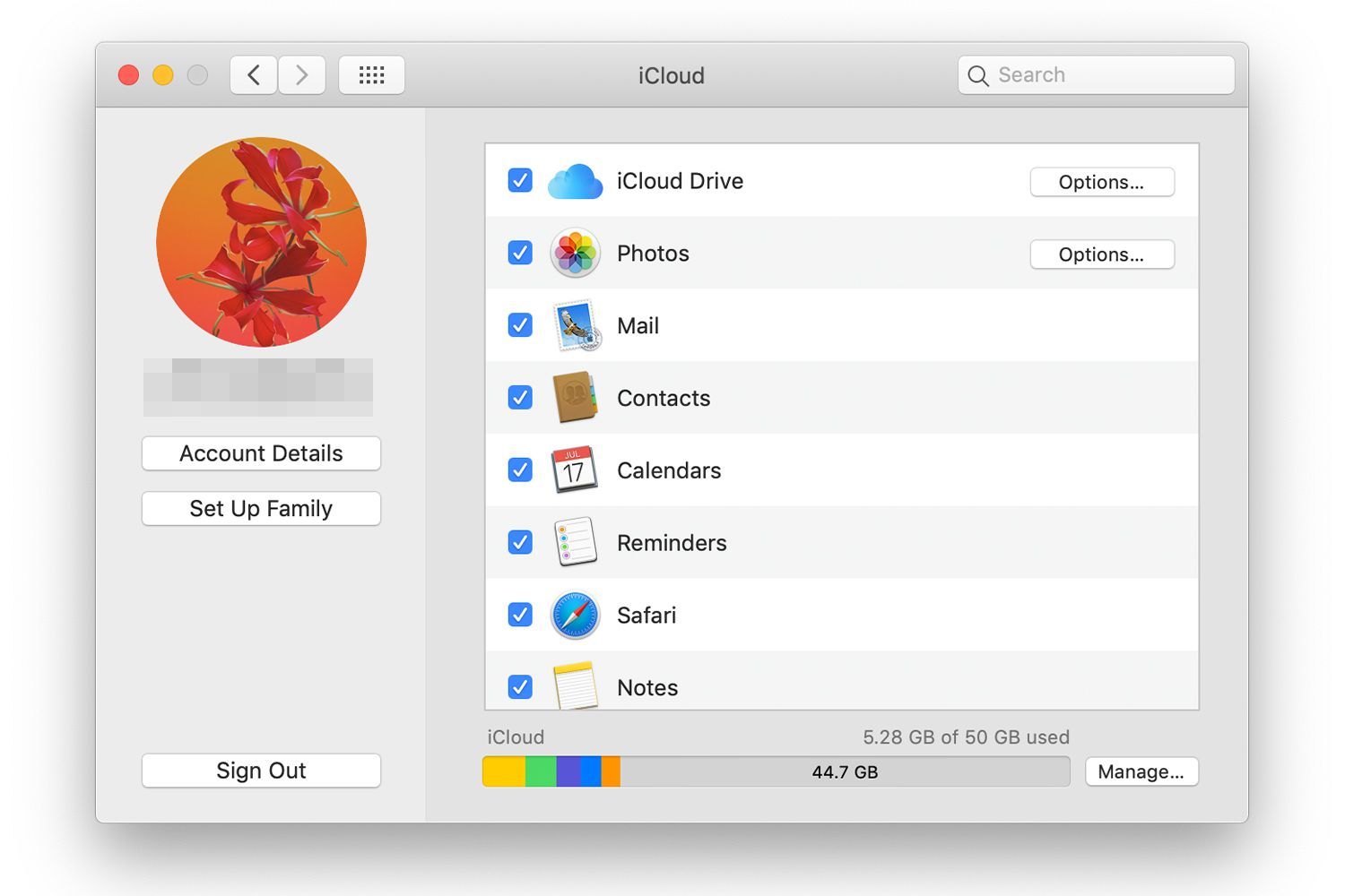 Экран настроек iCloud на Mac
