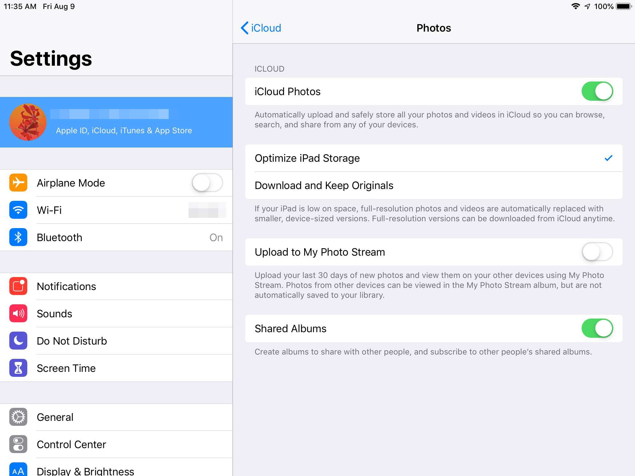 Включение iCloud Photos в настройках iPad