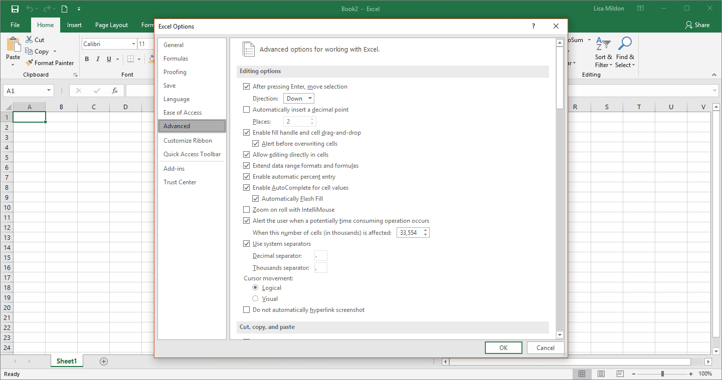 Скриншот расширенных параметров Excel