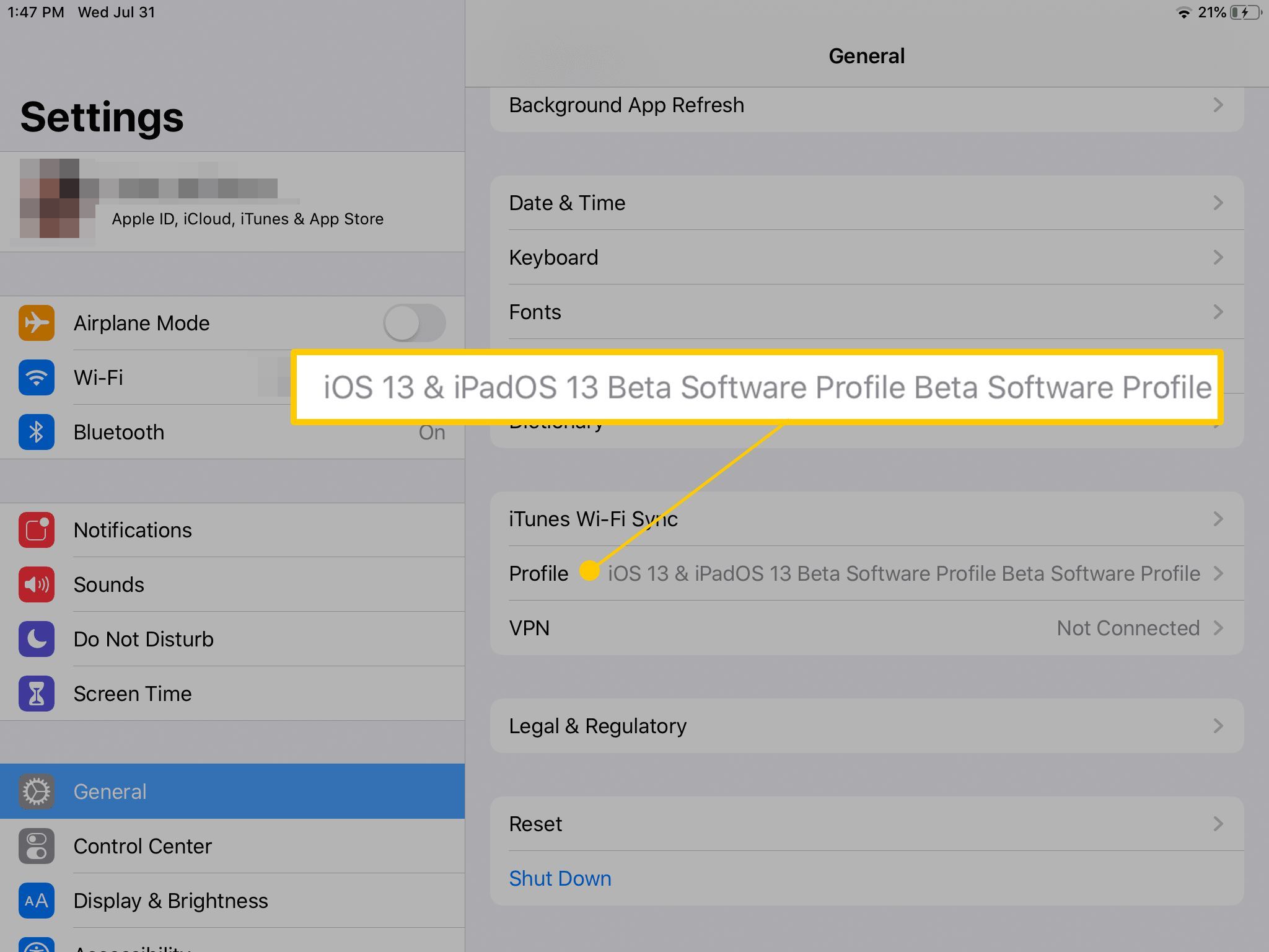 Кнопка профиля бета-версии iOS 13 и iPadOS 13 в настройках iOS на iPad