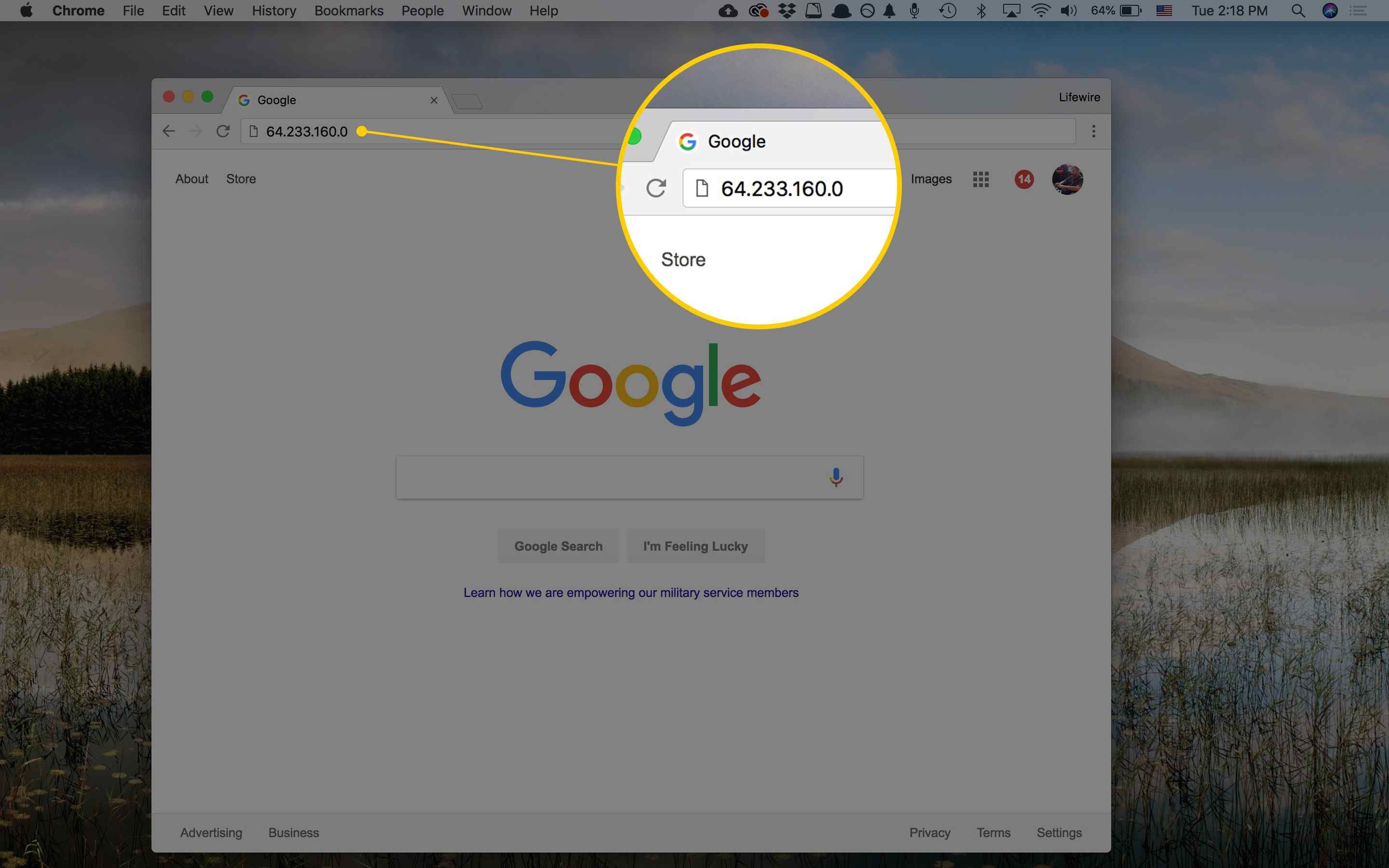Снимок экрана одного IP-адреса Google в строке адреса Chrome на Mac