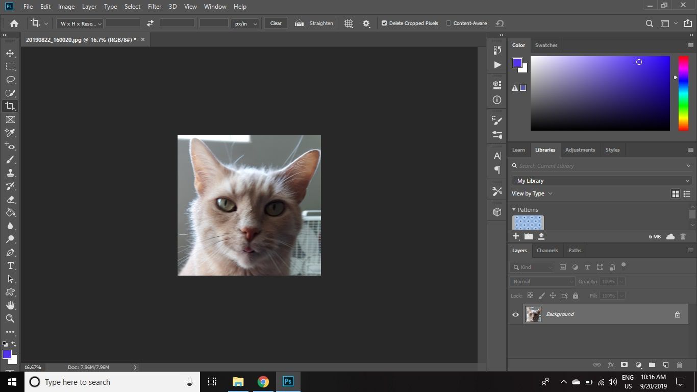 Обрезанное изображение кота в Photoshop CC