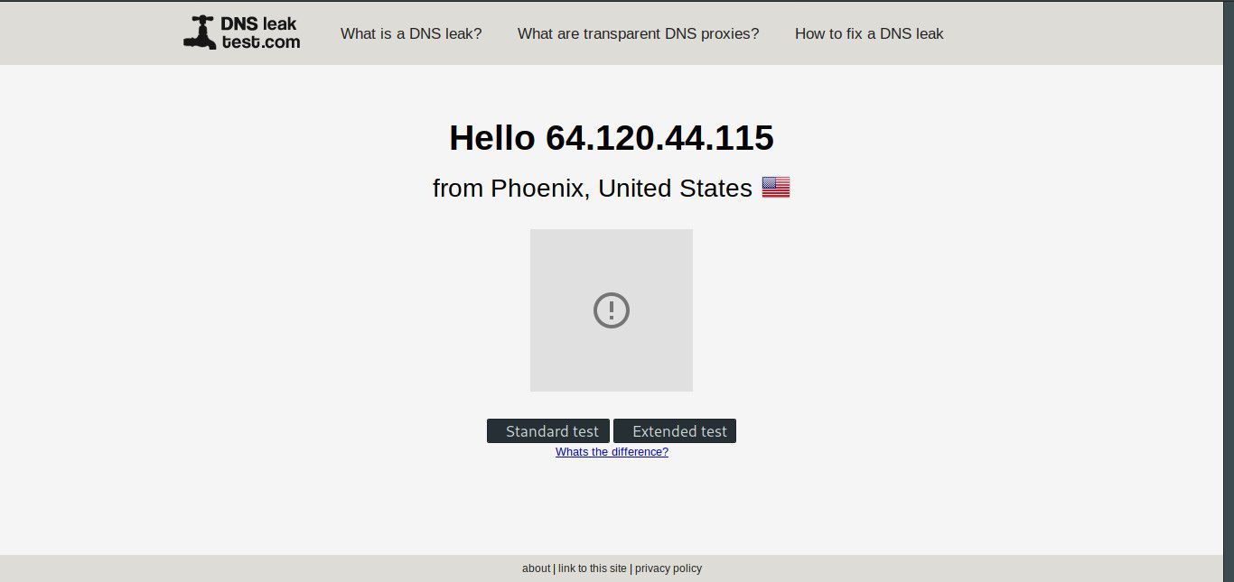 Проверка на утечку DNS