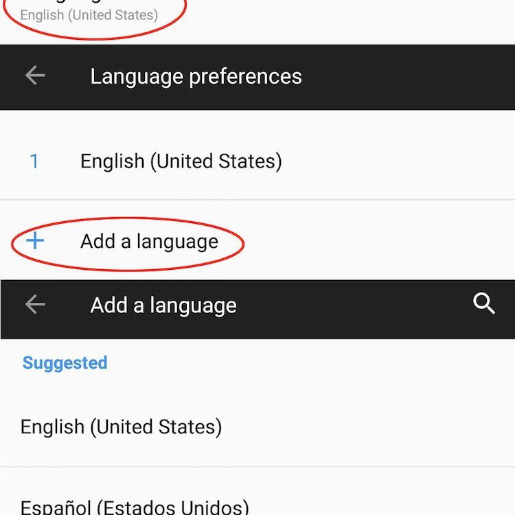 Google Assistant Language