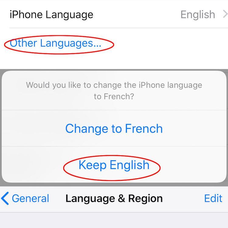 Google Assistant Language iPhone