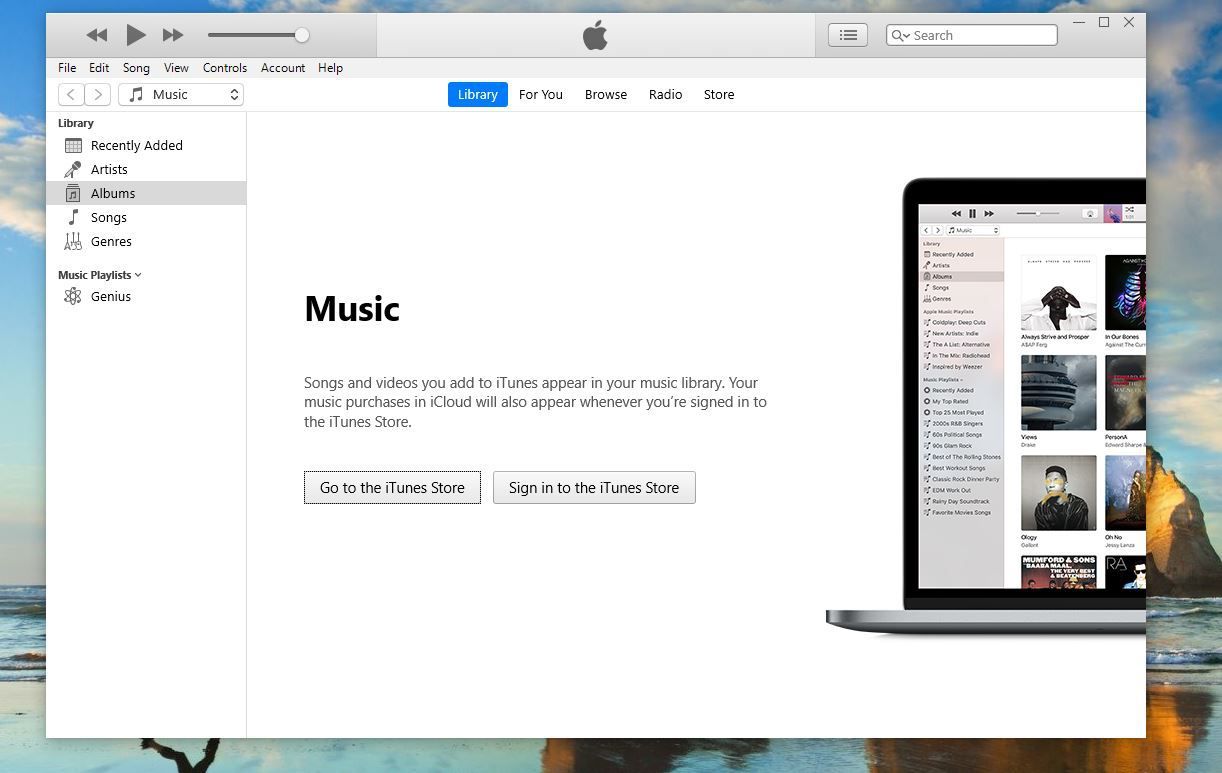 Скриншот экрана регистрации / входа в iTunes