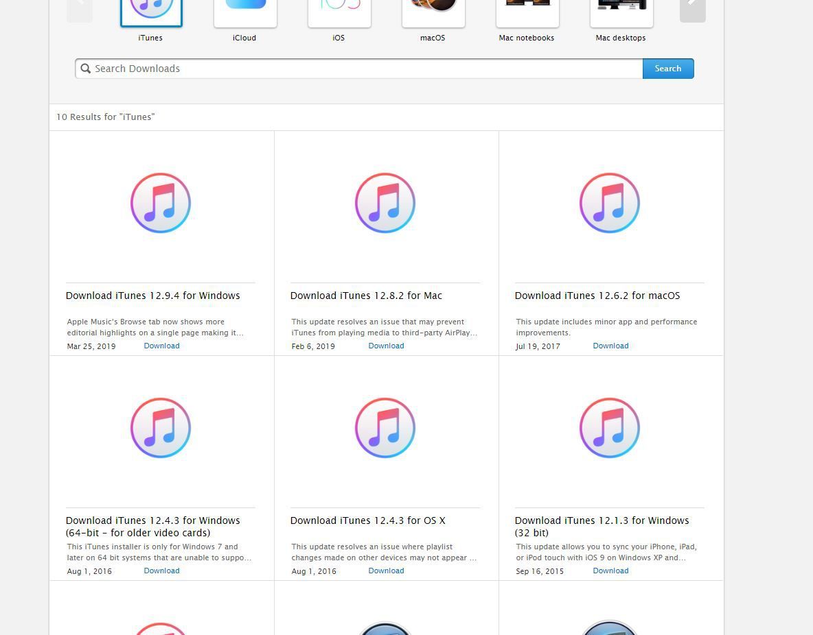 Снимок экрана параметров загрузки iTunes