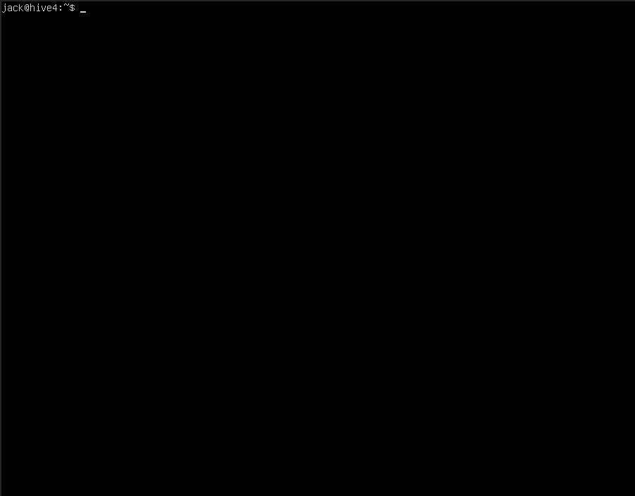 Скриншот терминала Linux.