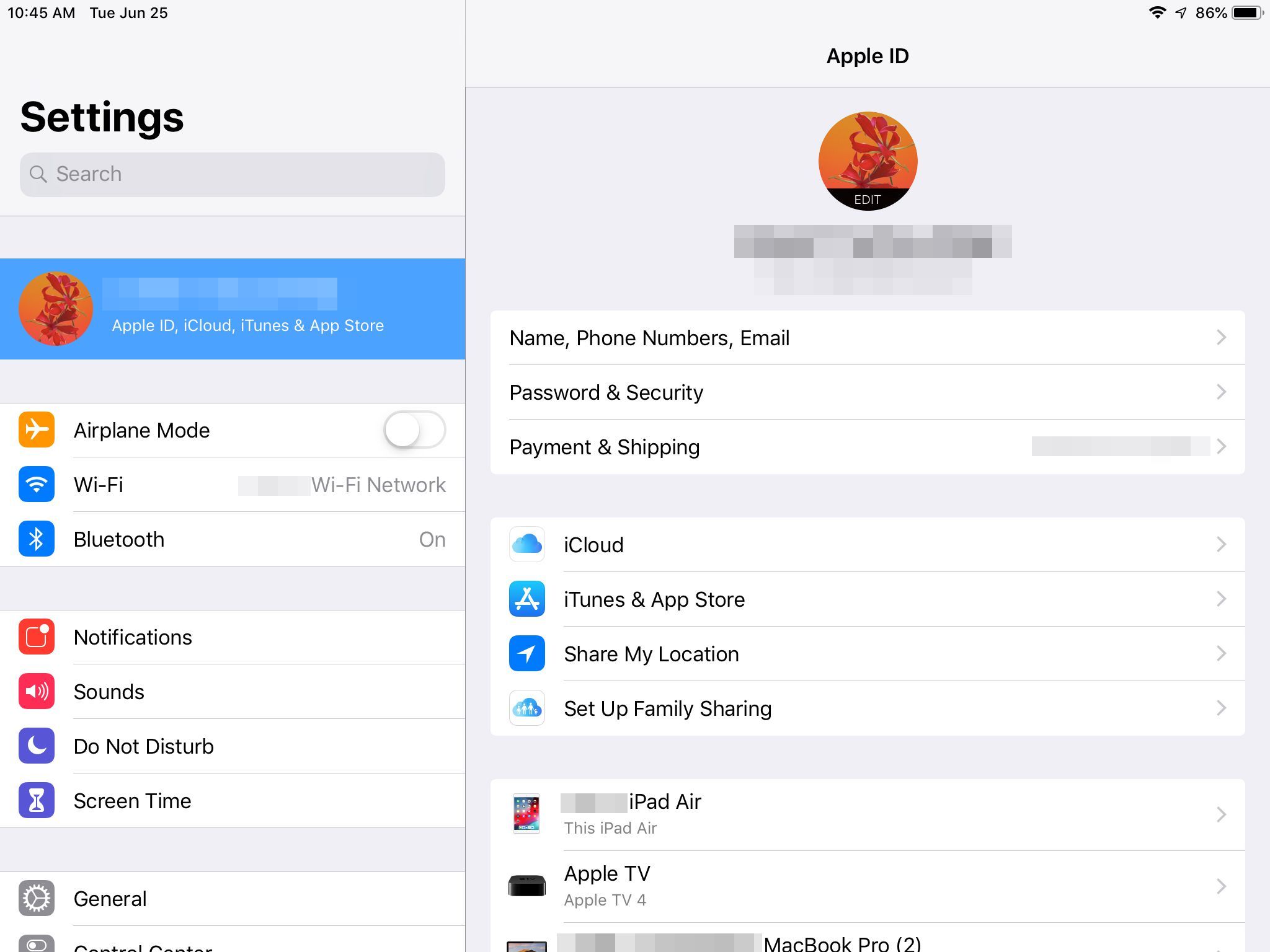 Снимок экрана настроек iPad, показывающий настройки Apple ID с iCloud
