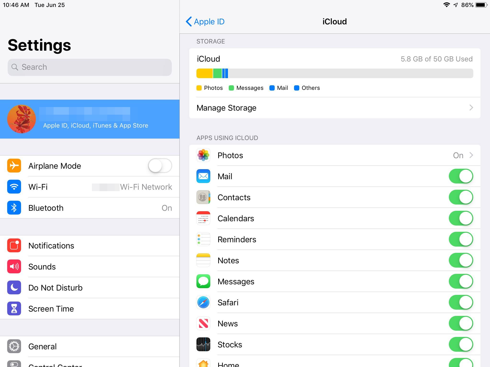 Снимок экрана настроек iCloud, показывающий параметры на iPad