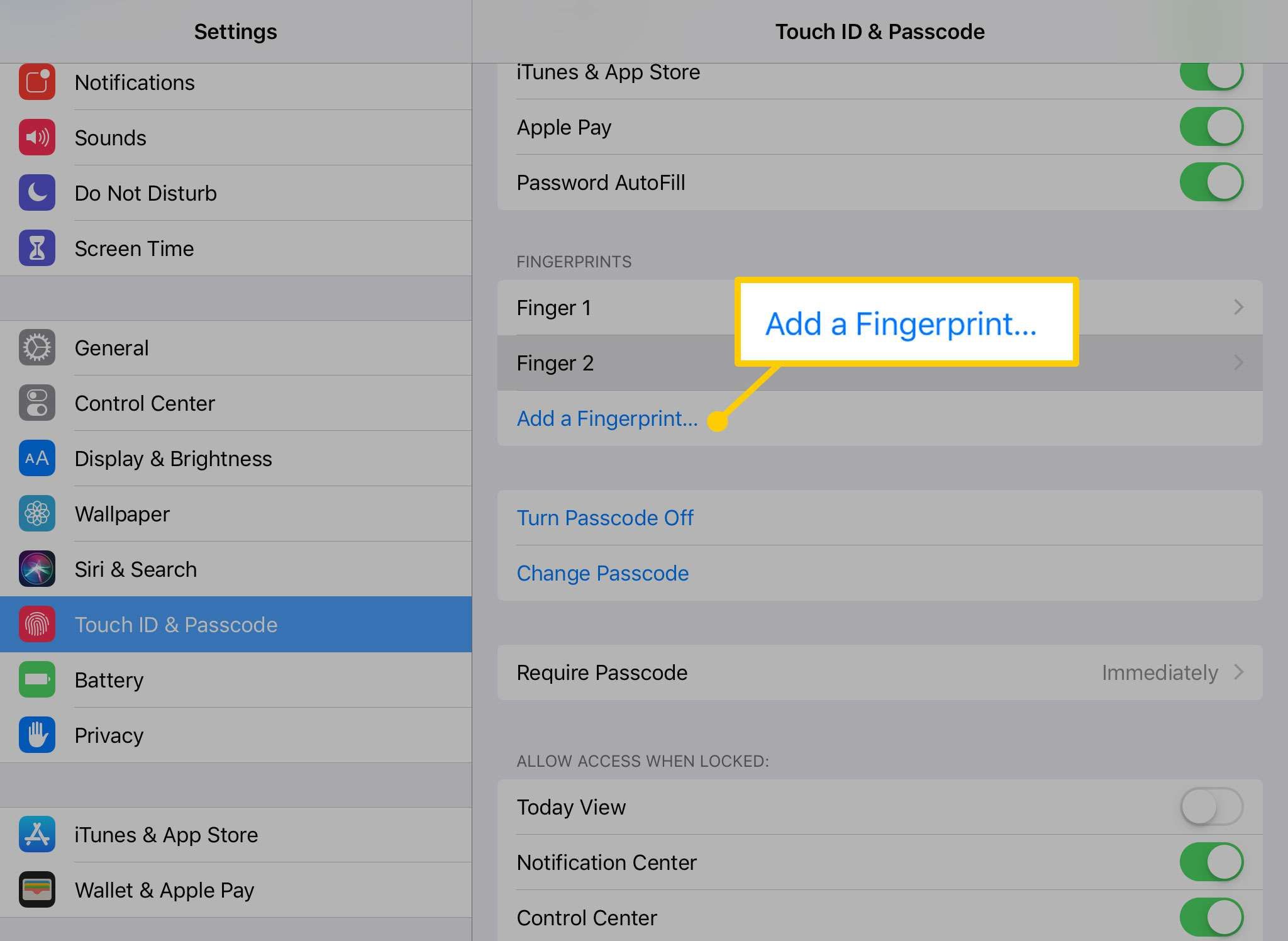 Добавить опцию отпечатков пальцев на iPad