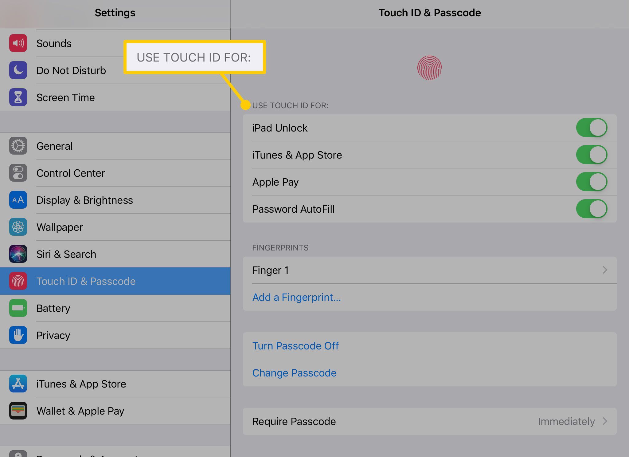 Используйте Touch ID для настроек на iPad