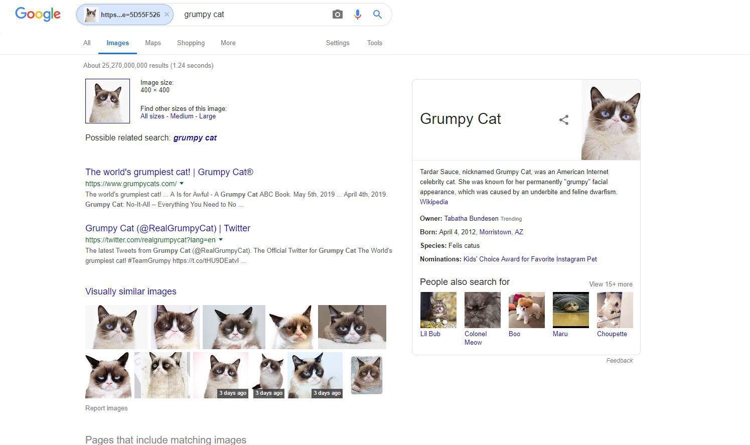 Скриншот результатов обратного изображения Google