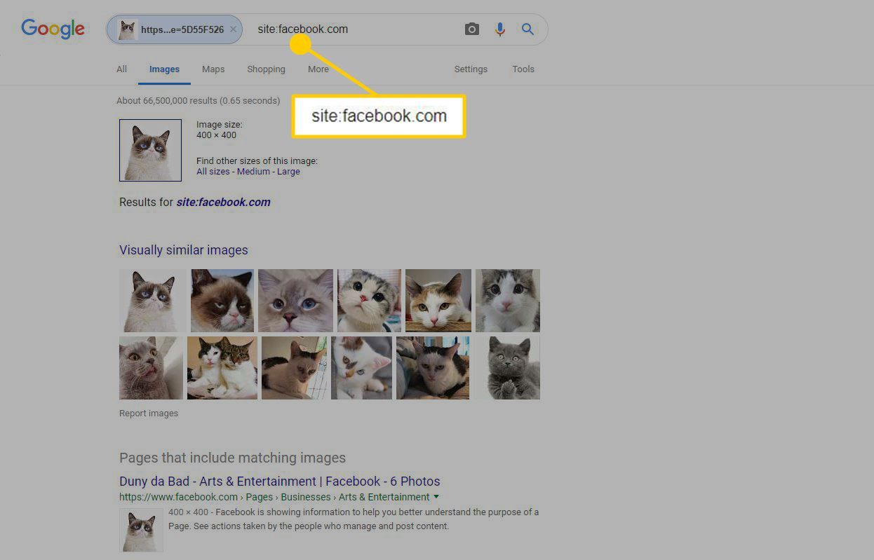 Снимок экрана с результатами поиска обратного изображения Google ограничен Facebook.