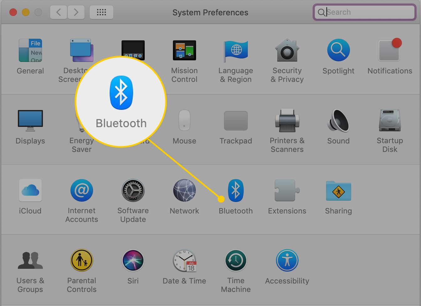 Значок Bluetooth в Системных настройках в macOS