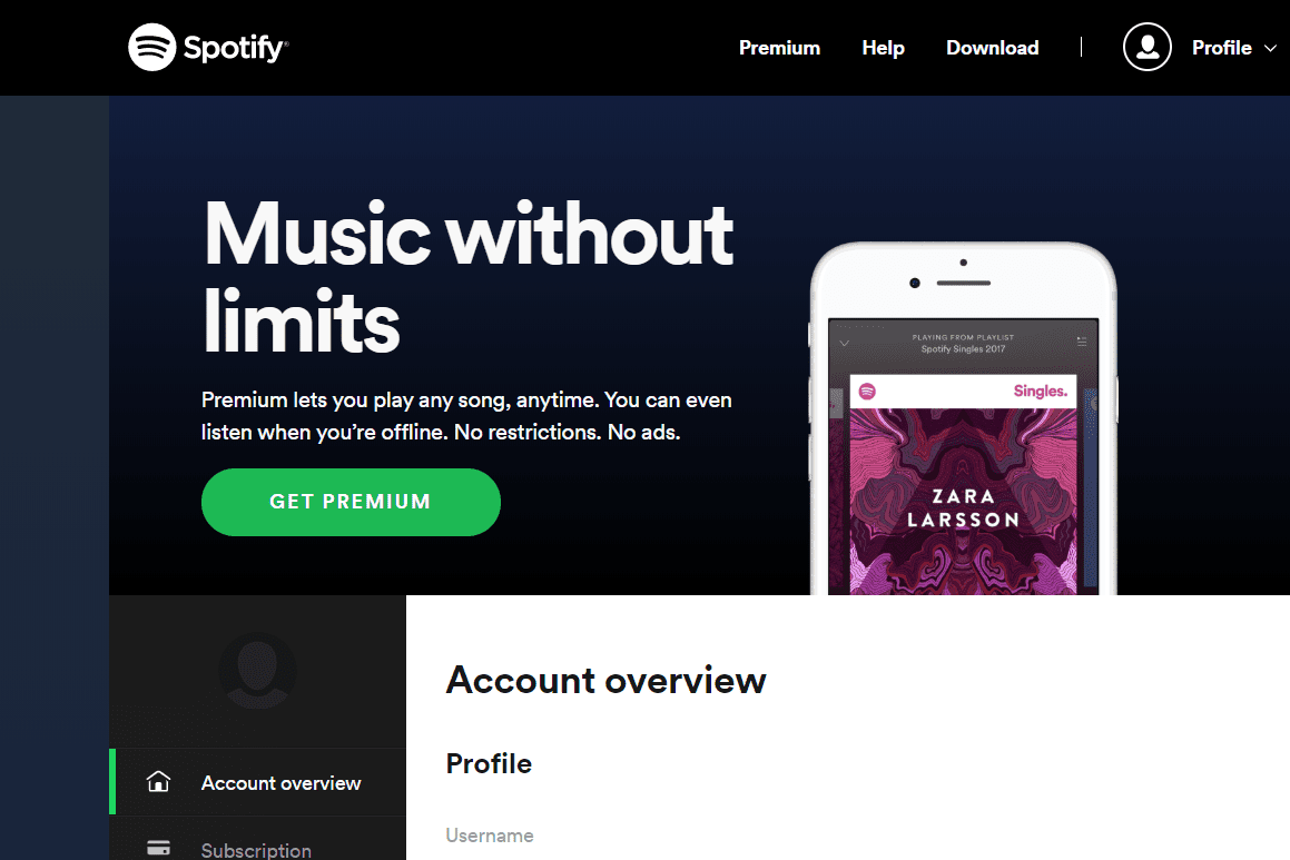 Страница обзора аккаунта Spotify