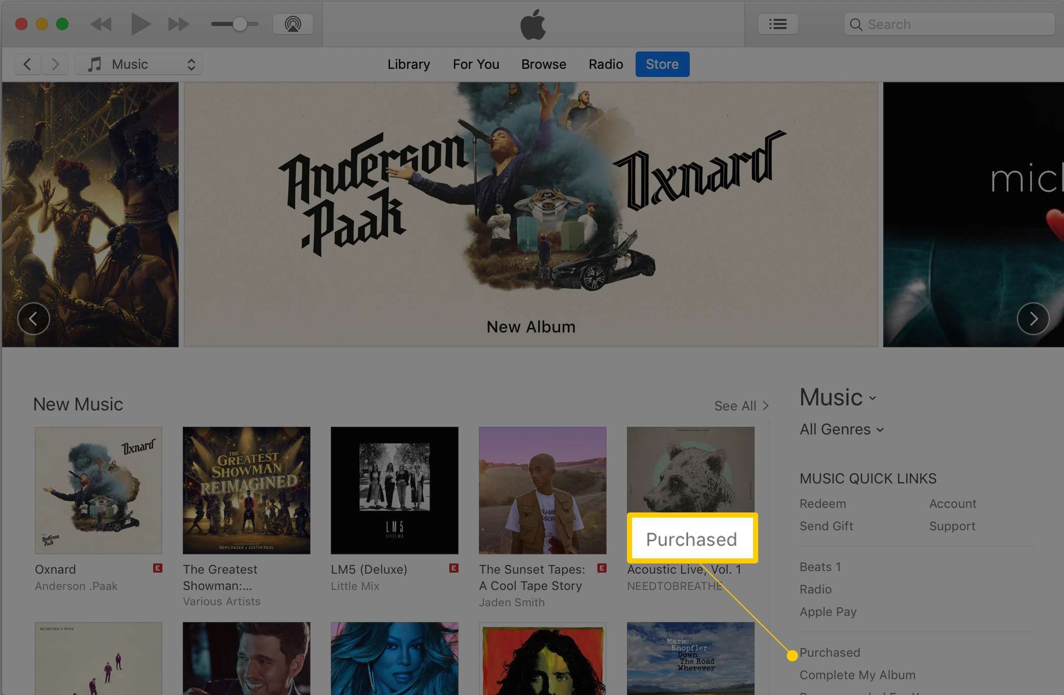 Приобретенная ссылка в iTunes Store через скриншот macOS