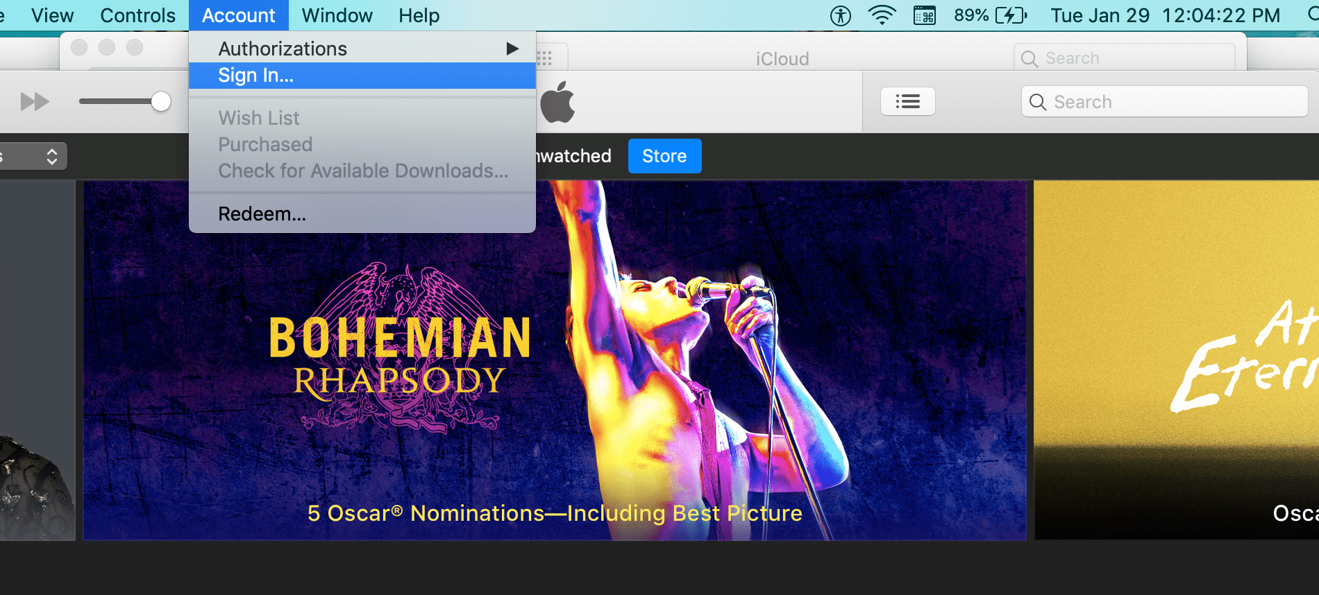 Снимок экрана iTunes Войти